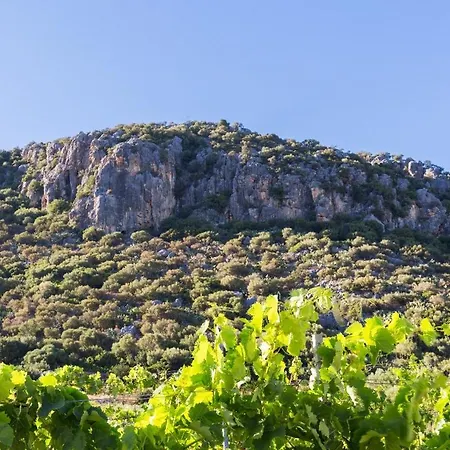 Hotel Sa Tanca E Bore Siniscola