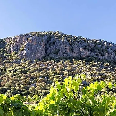 Sa Tanca E Bore Ξενοδοχείο 2*