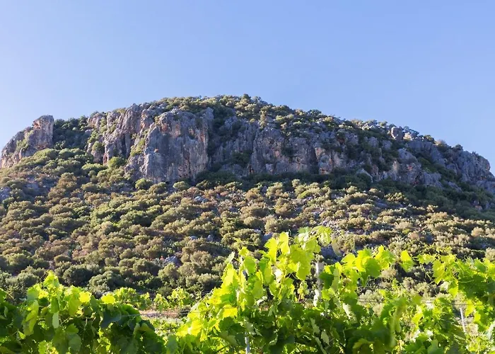 Szálloda Sa Tanca E Bore Siniscola